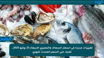 تغييرات جديدة في أسعار السماك والجمبري الأربعاء 23 يوليو 2025.. تعرف على السعر المحدث للبوري